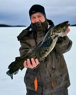 Ловля налима в Карелии