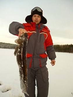 Рыбалка на налима