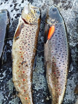 Ловля кумжи