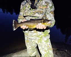 Рыбалка в северной Карелии