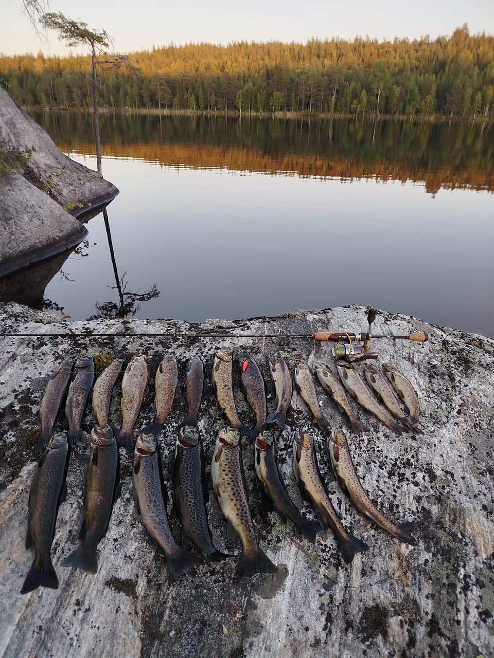 Рыбалка в Карелии, ловля кумжи